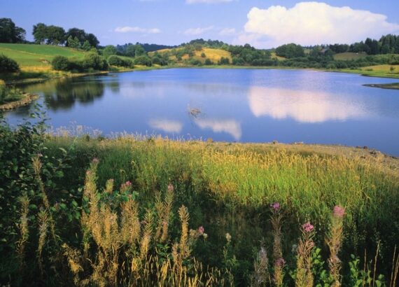 auvergne vacance